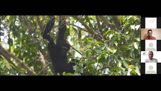 History of Gibbon Population Surveys in Myanmar (Burmese)