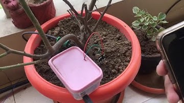 IoT Based Water Irrigation System with zigbee sensor network