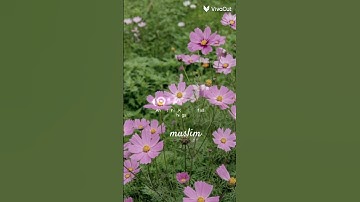 سلام عليكم سورة التغابن. ( مَا أَصَابَ مِنْ مُصِيبَةٍ إِلَّا بِإِذْنِ اللَّهِ)