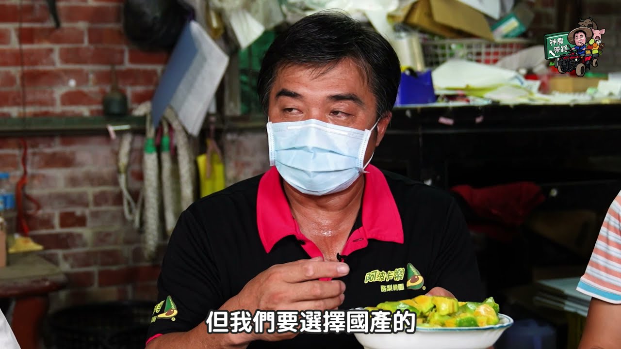 📍【神農帶路ep5】📍 原來臺灣有這麼多酪梨品種 嘉義竹崎的酪梨崎園
