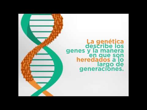 Vídeo: Diferencia Entre Genética Y Genómica