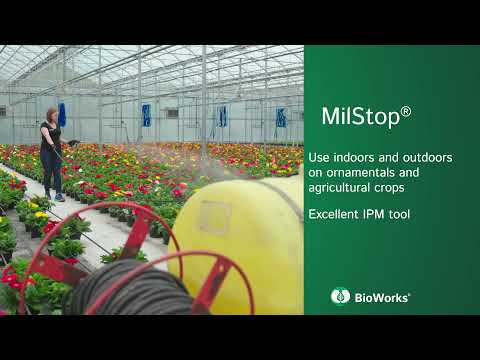 MilStop SP Product Overview - video from BioWorks