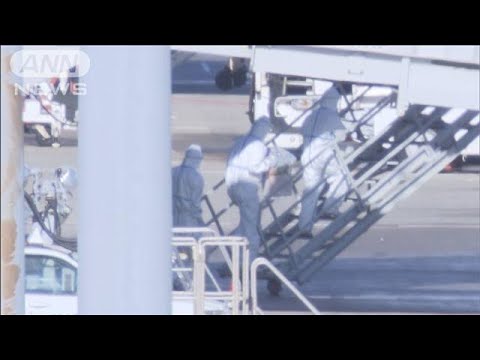 日本で新たに3人が感染　再検査で陽性反応も(20/02/02)