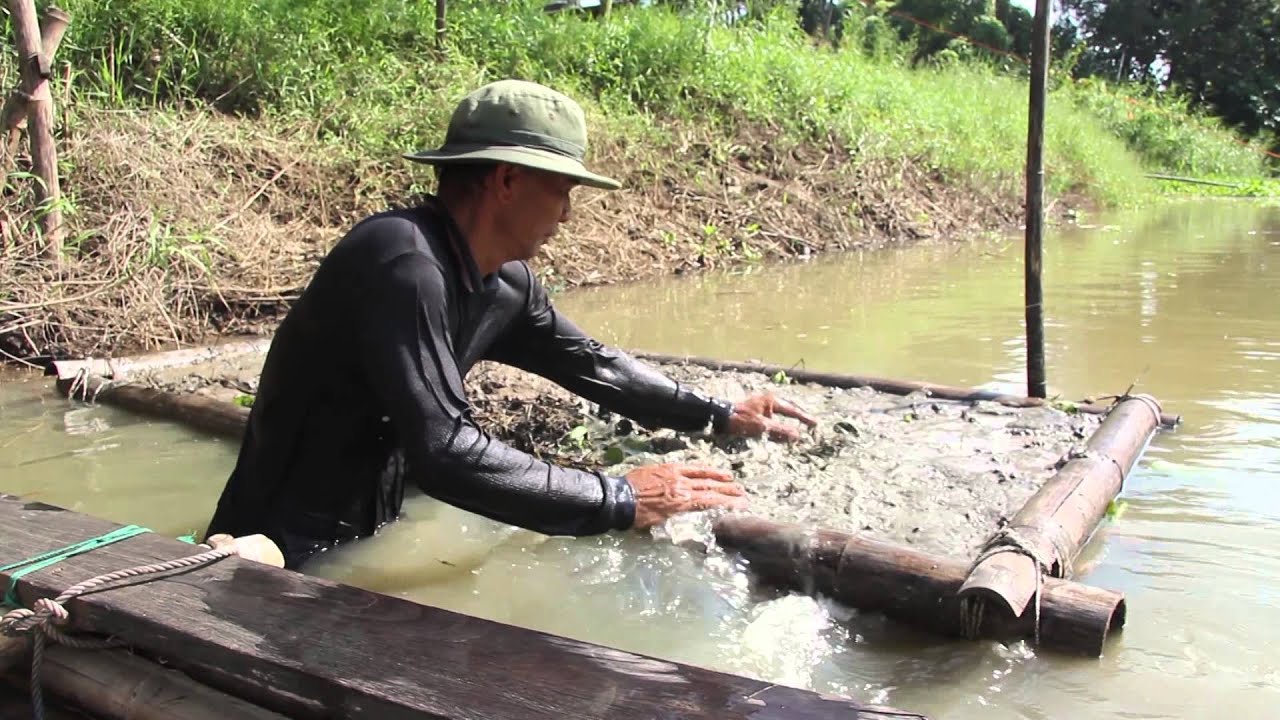 ภาพยนตร์สารคดีนาลอยน้ำ