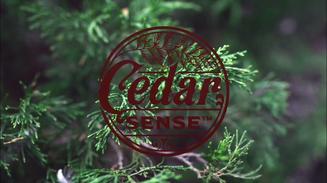 Cedar Balls by Cedar Sense Made in America & Creating Jobs Our Cedar Repels Moths YouTube
