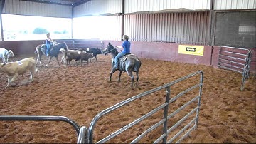 Valley View Ranch - XL Smart Zeus - sorting 2