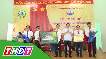 Huyện Tam Nông: Công bố xã Phú Thành B đạt chuẩn Nông thôn mới | THDT