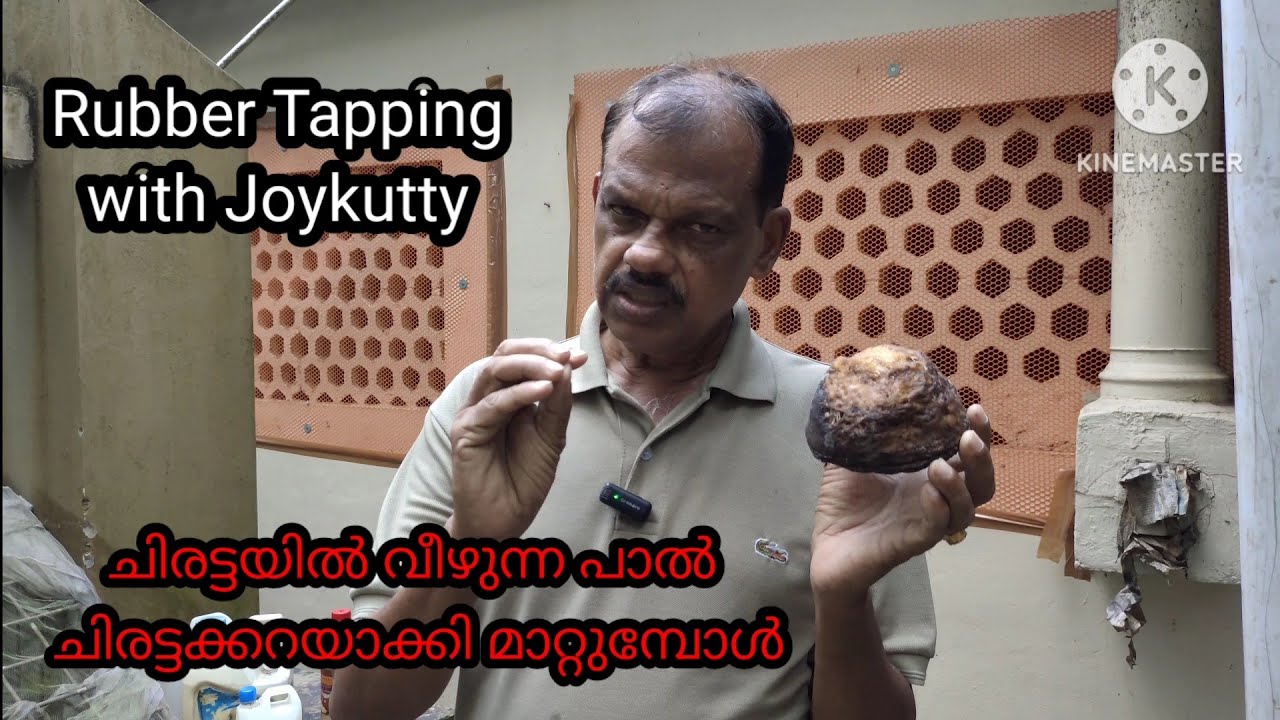  റബർ കറ ഒട്ടുകറ ആകുമ്പോൾ ഇത്രയും അറിഞ്ഞിരുന്നാൽ 