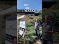 Mid-Century Modern Luxury Home Tour | South Redlands CA | Fully Renovated Dream Home