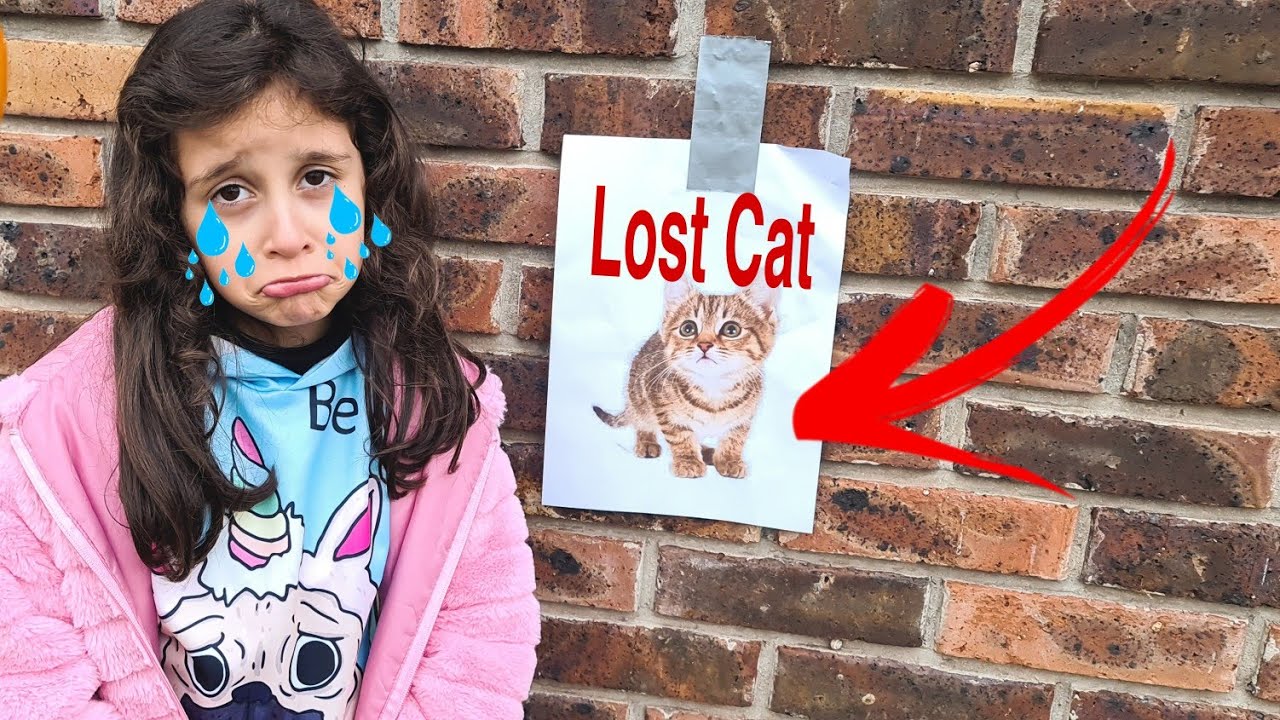 Diana Lost her Cat 