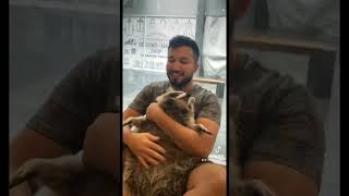 Fat Racoon gets pets