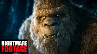 9 Bigfoot Sightings That Turned Camping Trips Into Nightmares