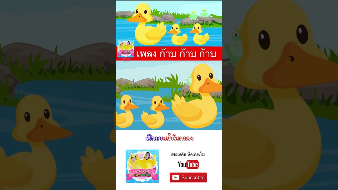 ไก่กุ๊กกุ๊กไก่ vs  เป็ดอาบน้ำในคลอง