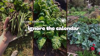 The Problem With Fall Planting Calendars in Hot Climates