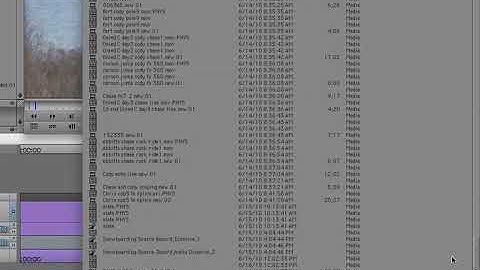 Avid Tutorial - 49 -  The Media Tool