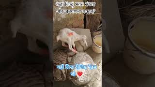जनगणना से जन कल्याण 2027#funny #moments #census2027 #shorts