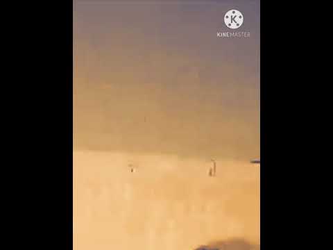ابوزمن الفلوجي عتابامواويل سويحلي حالات واتس اغاني عراقيةقديمةحزينةشعرابوذيةزهيري نغمات رقص خيانةحب