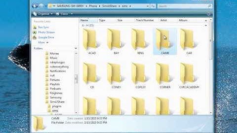 Transferring SimsUshare sims onto and off of Android devices | #1 Fire Simulator