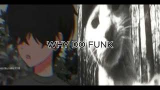 WHY DO FUNK (Slowed)