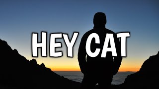 Nomke - Hey Cat (Lyrics) (From Happiness For Beginners)