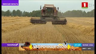 Уборочная-2020: где самые хлебные места Минской области? Панорама