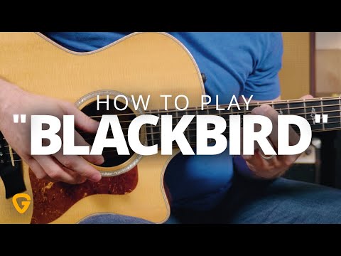 "Blackbird" - The Beatles Guitar Lesson