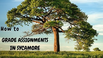 How to Grade Assignments in Sycamore