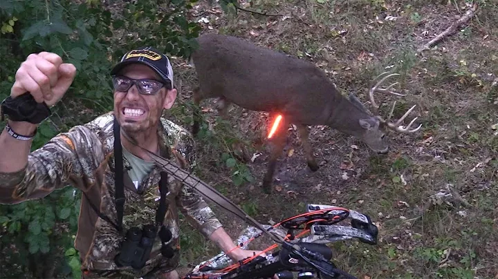 Early Season Bowhunting | How To Find & Kill Big Bucks
