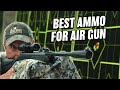 Which pellet should you use with an Air Rifle?