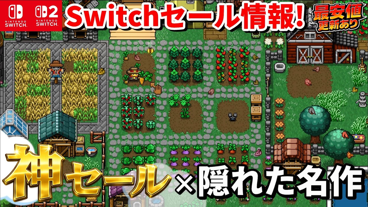 Switch Sale Information!] This time, we have a high-quality