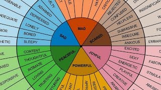 Understanding English adjectives | Canguro English