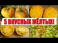 САМЫЕ ВКУСНЫЕ И СЛАДКИЕ ТОМАТЫ !!! (ЛУЧШИЕ ЖЁЛТЫЕ СОРТА, КОТОРЫЕ Я САЖАЛ!)