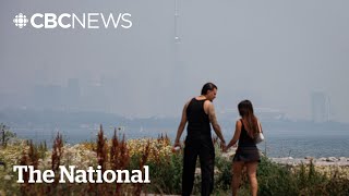 Air pollution levels linked to wildfires could shorten lifespans