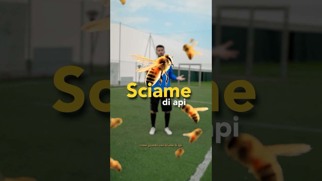 LE API INVADONO IL CAMPO 🐝😱⚽️ 