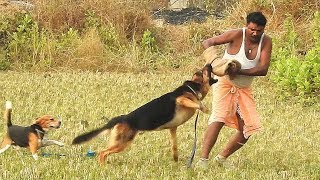 Dogs Owner Training By Action Dogs by Animal Guru 22,492 views 5 years ago 3 minutes, 22 seconds