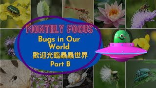 【ABC互動英語：20221102】本月焦點：歡迎光臨蟲蟲世界 Part B