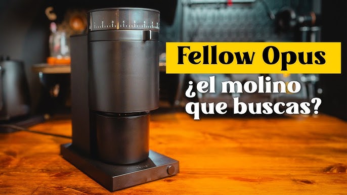 4 tipos de molinillos de café y cómo elegir el mejor molinillo para ti –  Syra Coffee