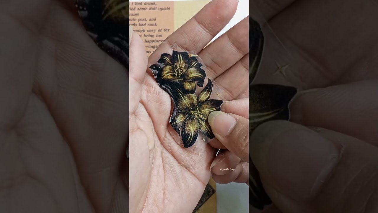 Aesthetic Black and Gold Theme Journal with me 