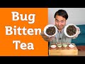 How does Bug Bitten Tea Taste?