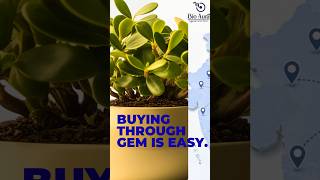 GeM portal #biotechnology #india #indian #bioaura #labinstruments #scientific #university
