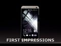 HTC One First Impressions