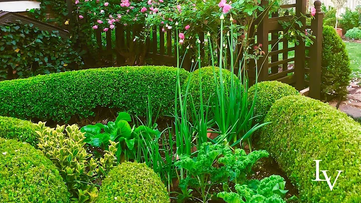 Hopscotch Planting In Garden Design // Linda Vater