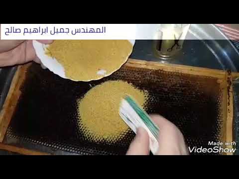 فيديو: كيف نعطي خبز النحل للأطفال