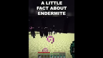 Endermen WON