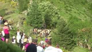 Transhumance Cévenole Mélange Des Troupeaux Au Col De Lasclier Troupeau De Massevaques