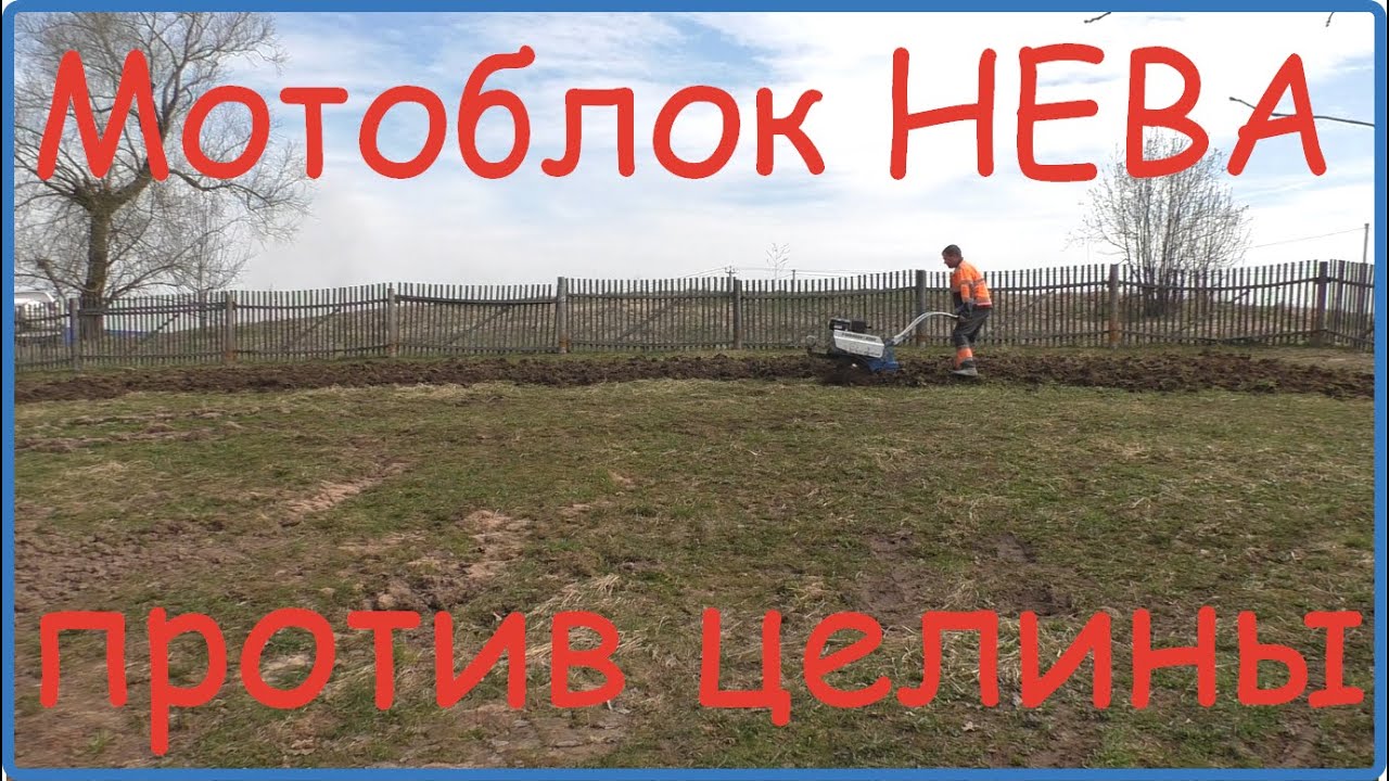 Начало проекта огород мечты. Разрабатываем целину мотоблоком Нева МБ 23 ...