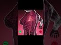Heart Beat Animation Telephone Ringtone