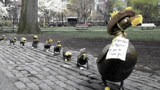 Boston is still running | COVID-19 Short Film