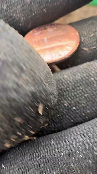 Another one #environmentalcleanup #metaldetecting