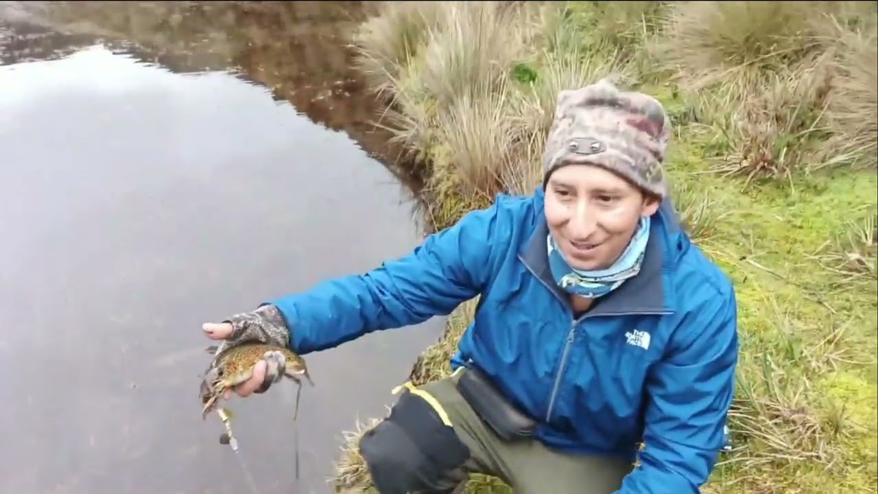Conociendo nuevas lagunas y pescando truchas en la Reserva Cayambe-Coca 🏞️🎣